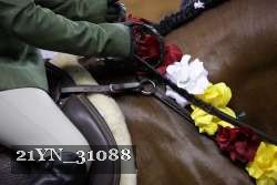 21YN_31088 thumbnail