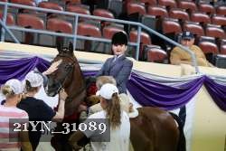 21YN_31089 thumbnail