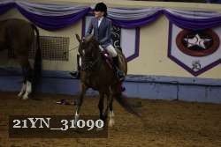 21YN_31090 thumbnail