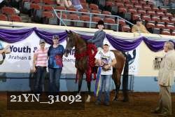 21YN_31092 thumbnail