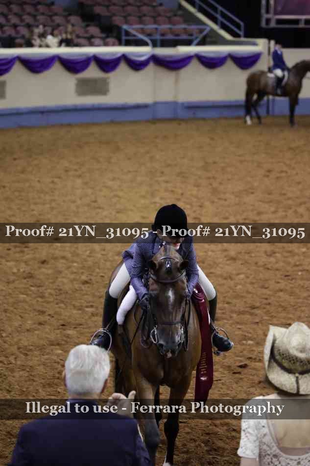 Proof Number 21YN_31095
