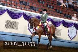21YN_31155 thumbnail