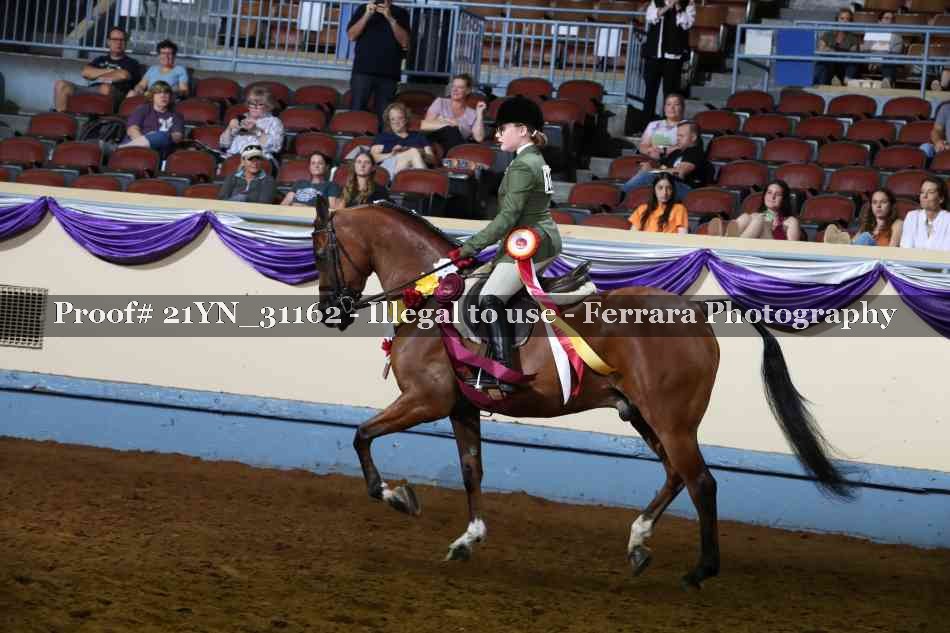 Proof Number 21YN_31162