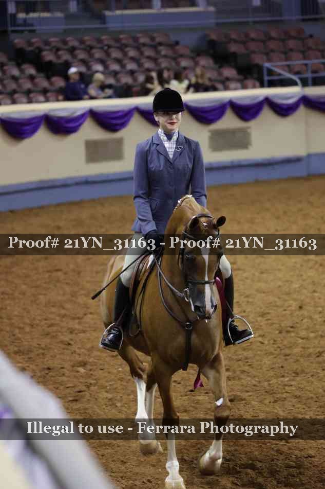 Proof Number 21YN_31163