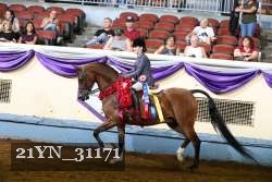 21YN_31171 thumbnail
