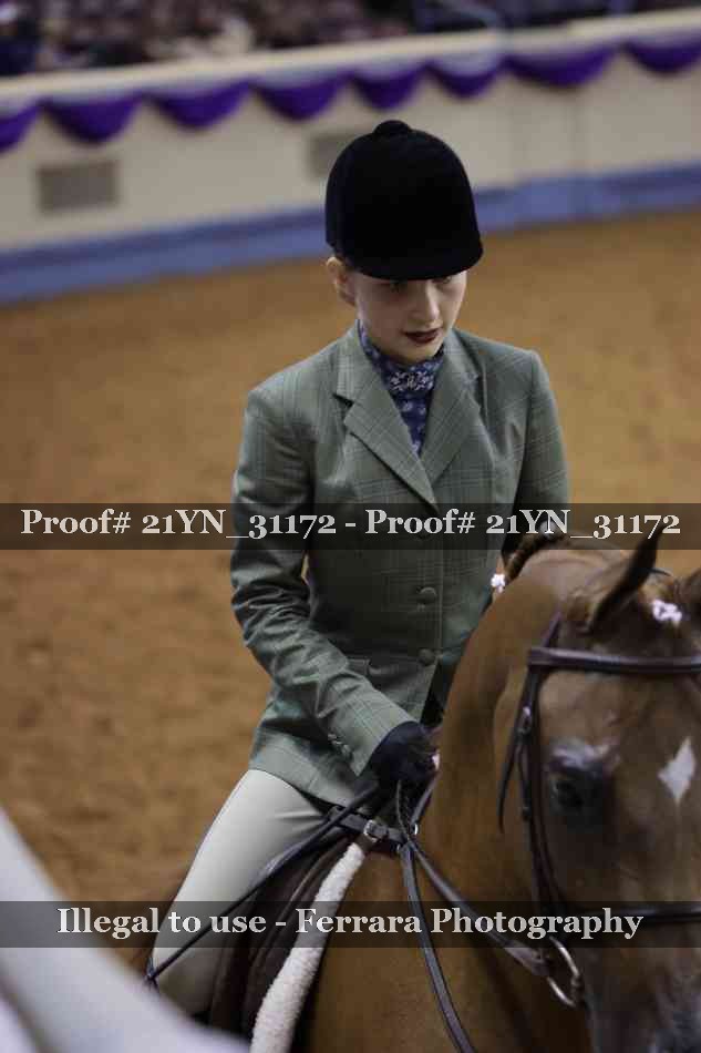 Proof Number 21YN_31172