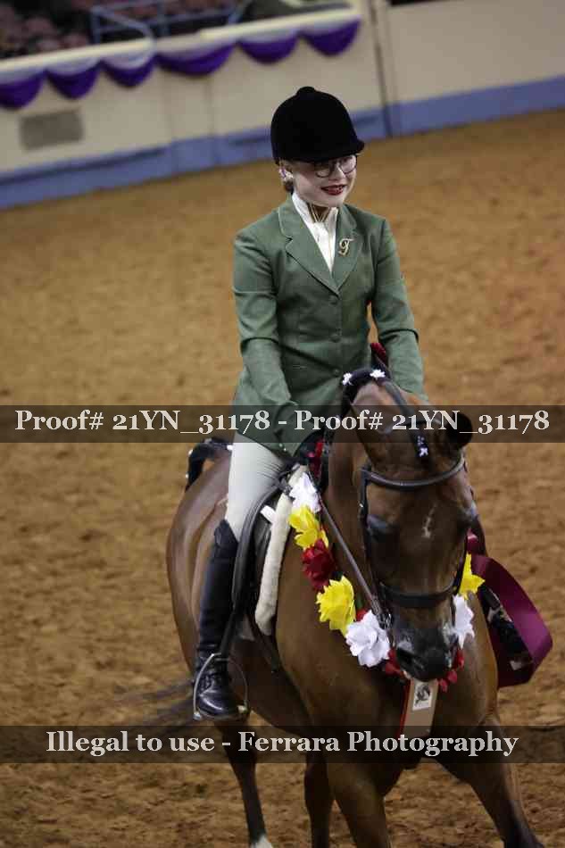 Proof Number 21YN_31178