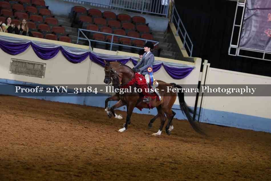 Proof Number 21YN_31184