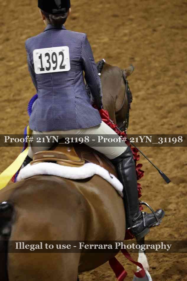 Proof Number 21YN_31198