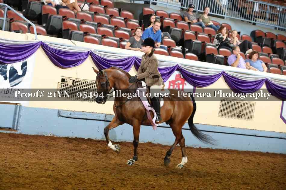 Proof Number 21YN_05494