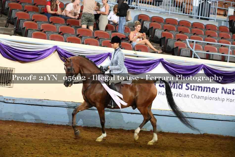 Proof Number 21YN_05602