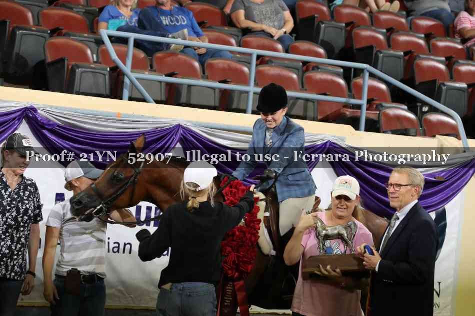 Proof Number 21YN_52907