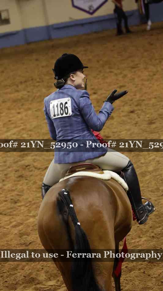 Proof Number 21YN_52950