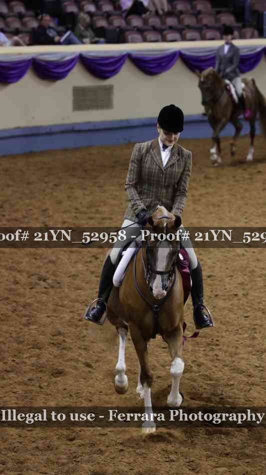 Proof Number 21YN_52958