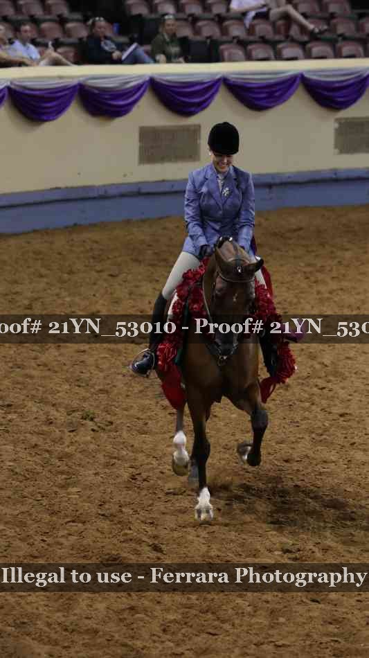 Proof Number 21YN_53010