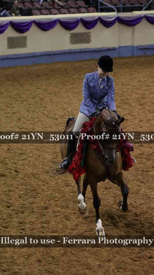 Proof Number 21YN_53011