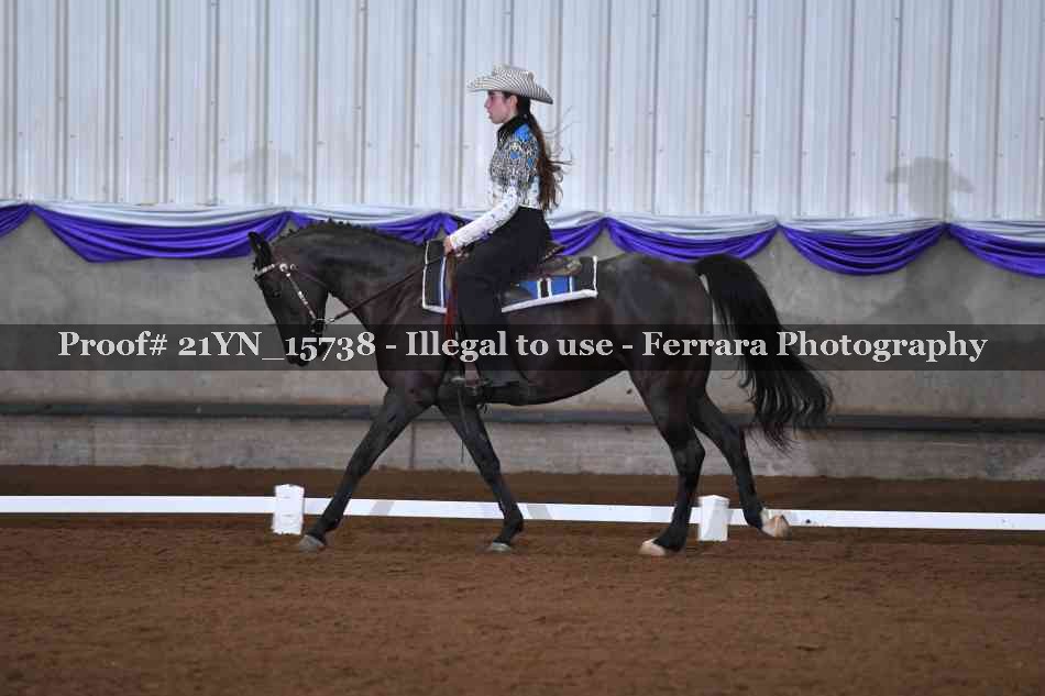 Proof Number 21YN_15738