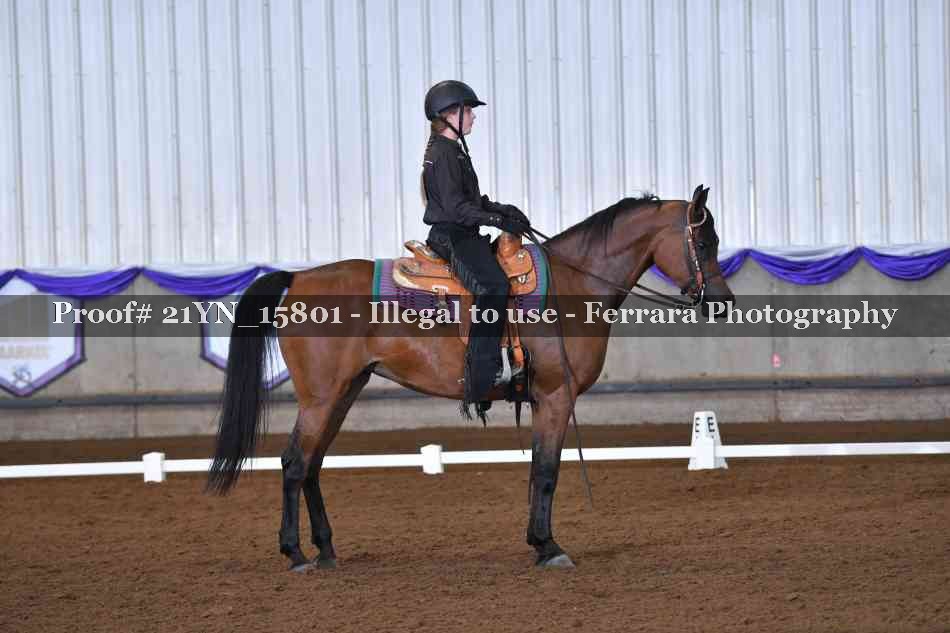 Proof Number 21YN_15801