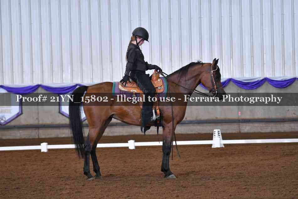 Proof Number 21YN_15802