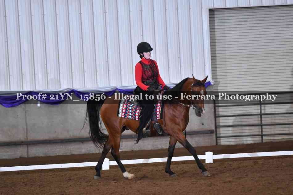 Proof Number 21YN_15856