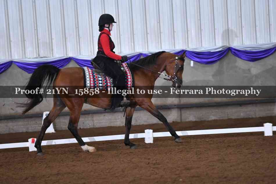 Proof Number 21YN_15858