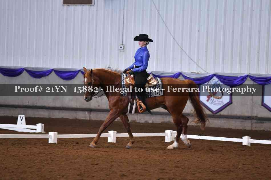 Proof Number 21YN_15882