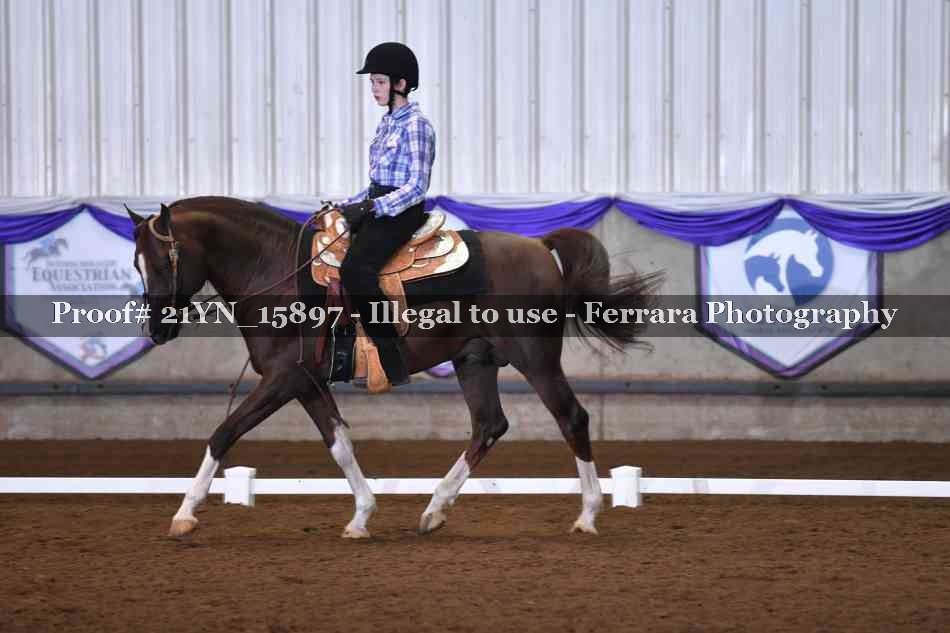 Proof Number 21YN_15897