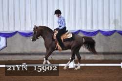 21YN_15902 thumbnail