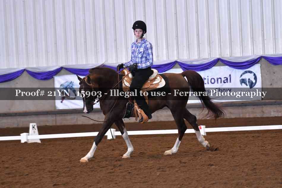 Proof Number 21YN_15903