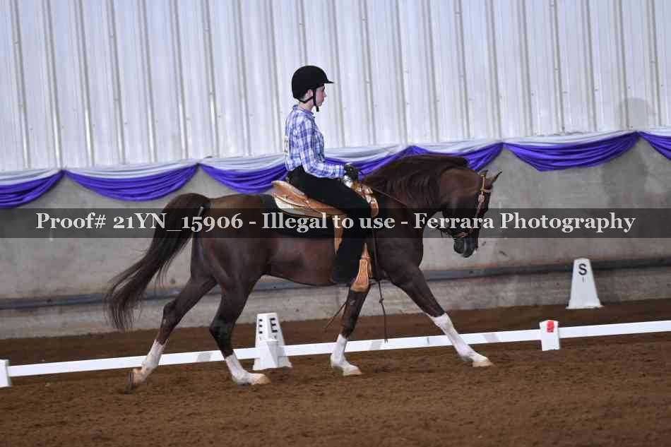 Proof Number 21YN_15906