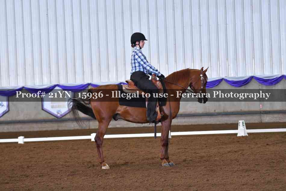 Proof Number 21YN_15936