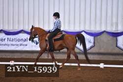 21YN_15939 thumbnail