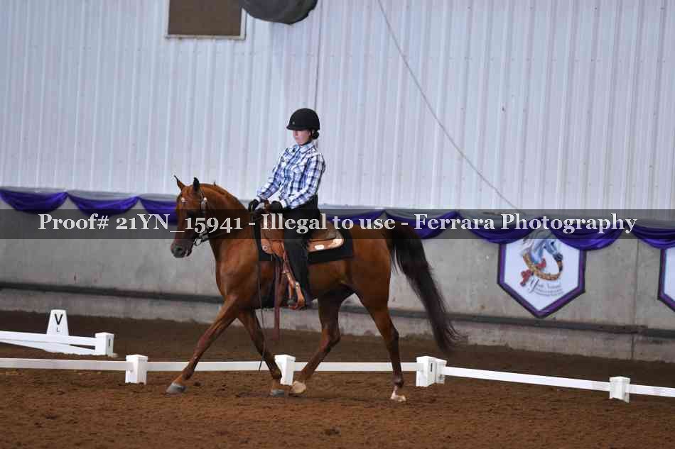 Proof Number 21YN_15941