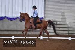 21YN_15943 thumbnail