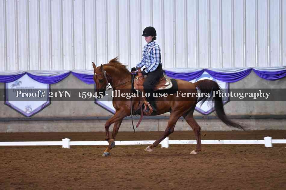 Proof Number 21YN_15945