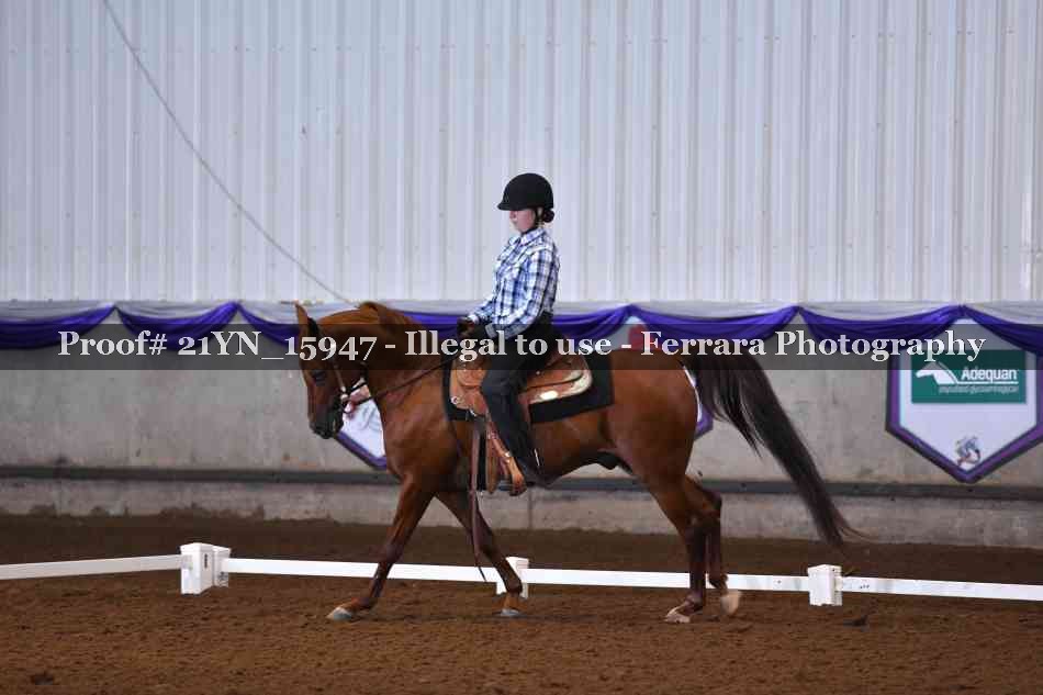 Proof Number 21YN_15947