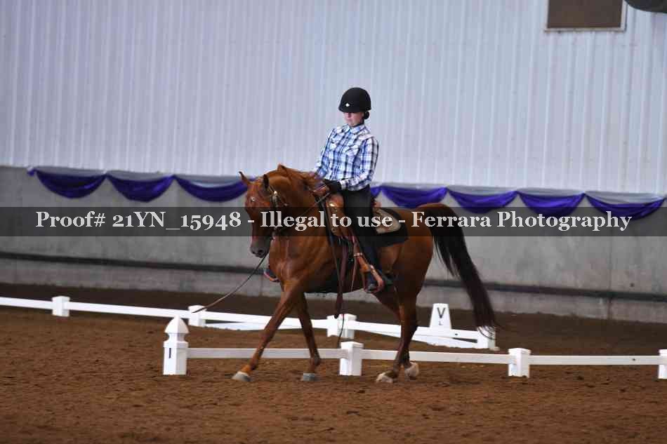 Proof Number 21YN_15948