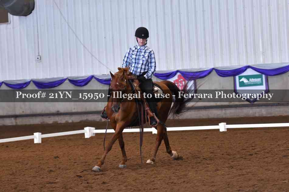 Proof Number 21YN_15950