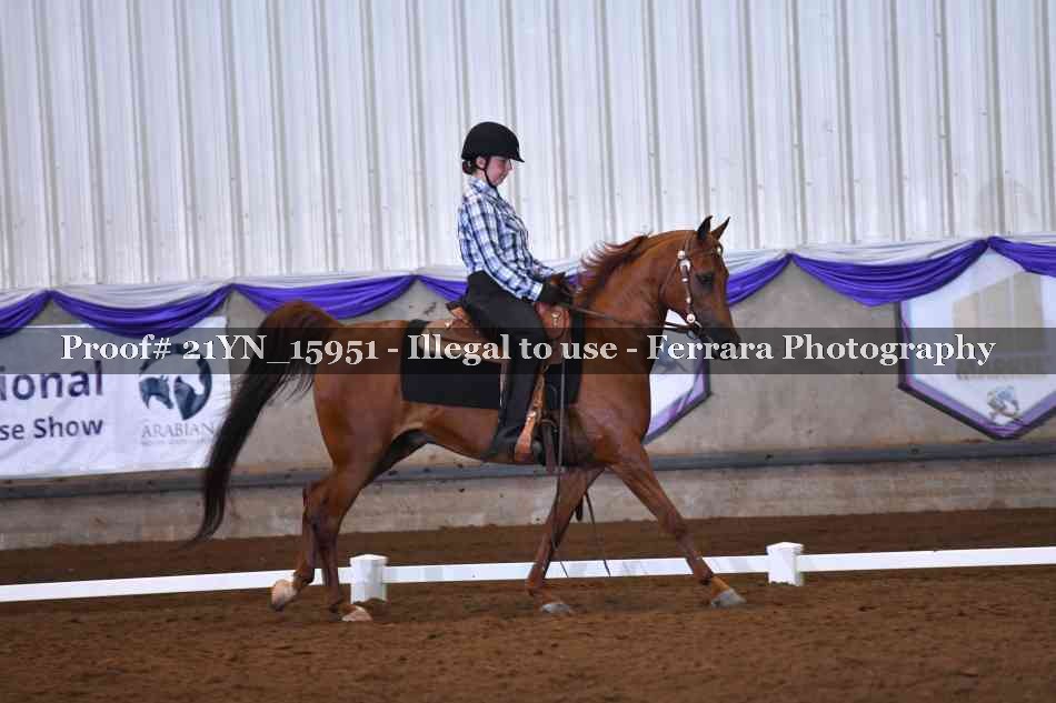 Proof Number 21YN_15951