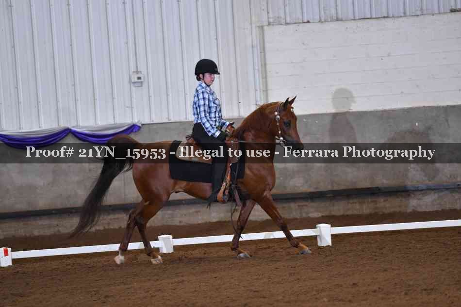 Proof Number 21YN_15953
