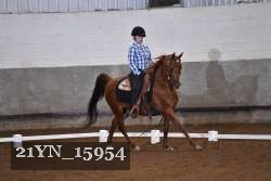 21YN_15954 thumbnail