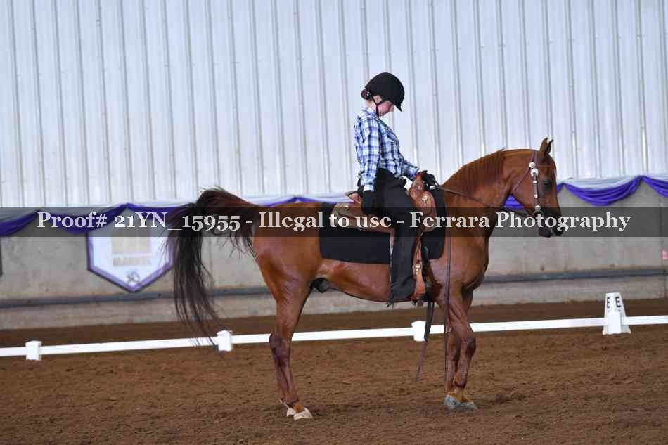 Proof Number 21YN_15955
