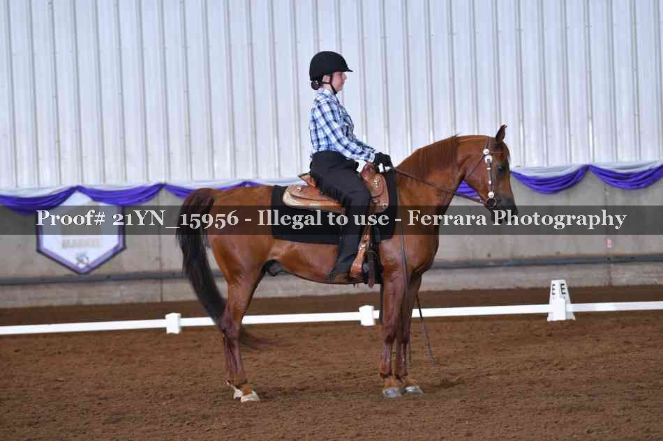Proof Number 21YN_15956