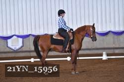 21YN_15956 thumbnail