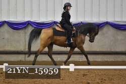 21YN_15959 thumbnail