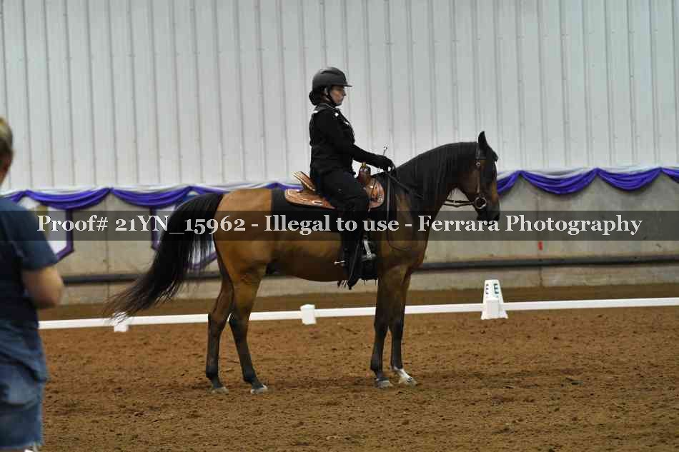 Proof Number 21YN_15962
