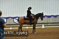 21YN_15963 thumbnail