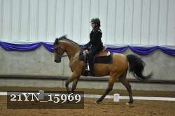 21YN_15969 thumbnail