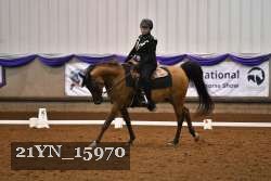 21YN_15970 thumbnail
