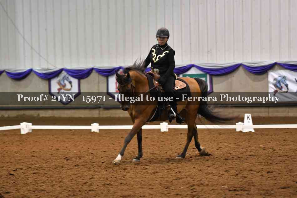 Proof Number 21YN_15971